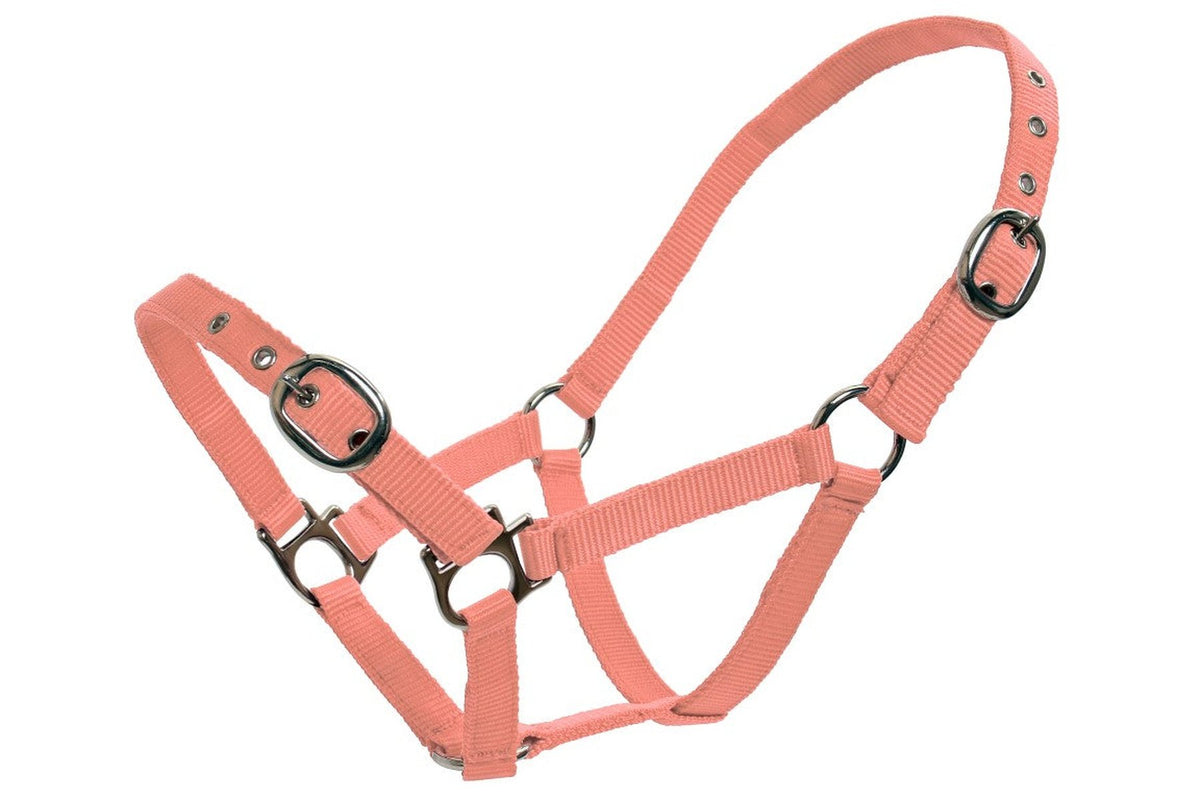 Blue Tag Web Halters Small Sizes - Pink