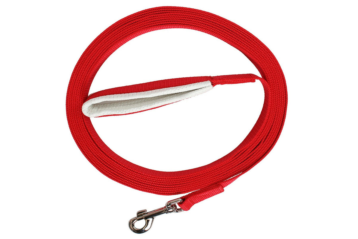 Blue Tag Web Lunge Lead - Red