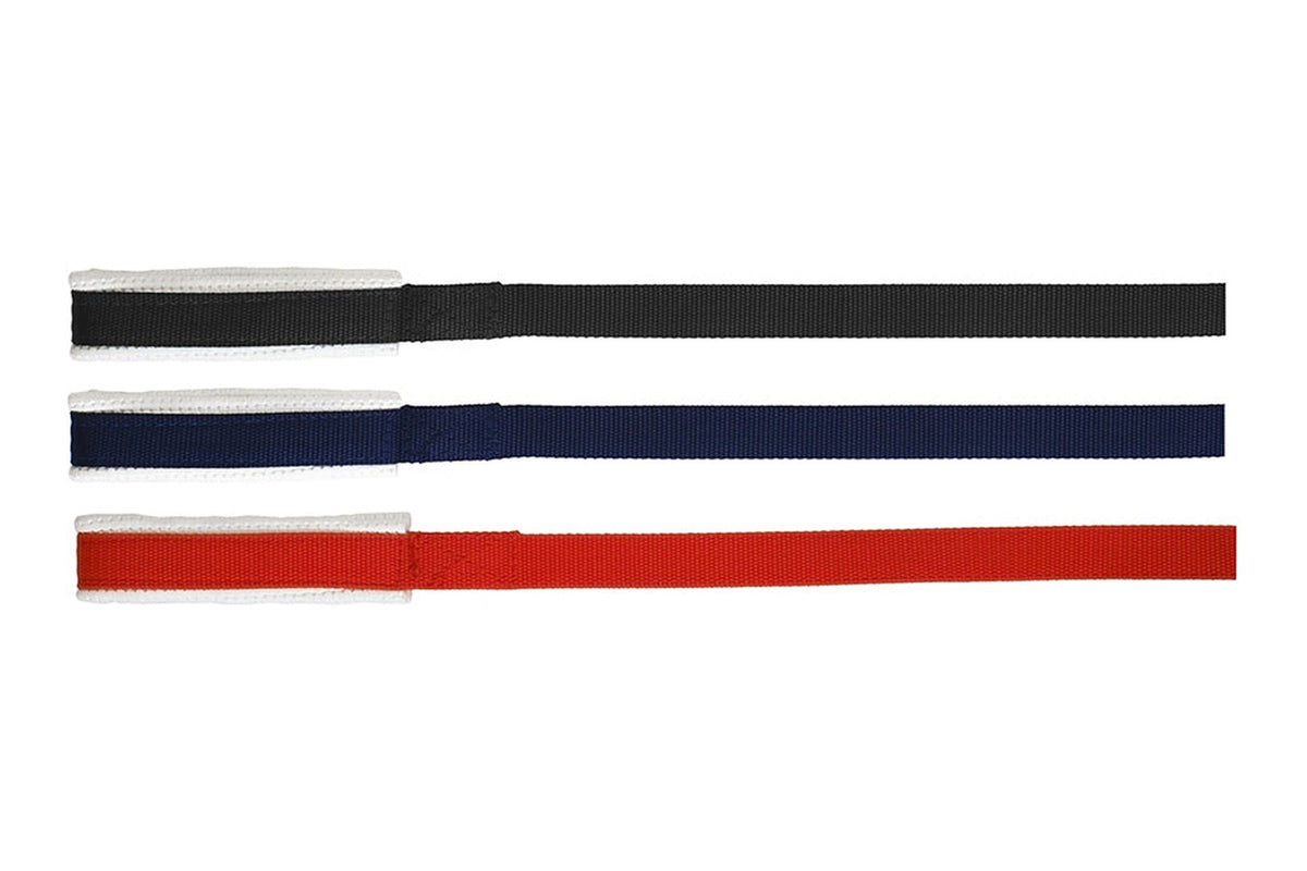 Blue Tag Web Lunge Lead