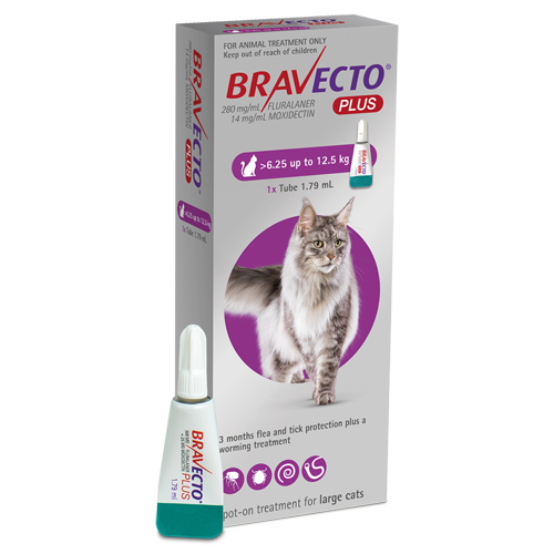 Bravecto Plus Large cat 6.25-12.5kg