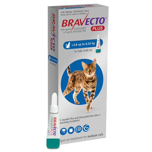 Bravecto Plus Medium cat 2.8-6.25kg