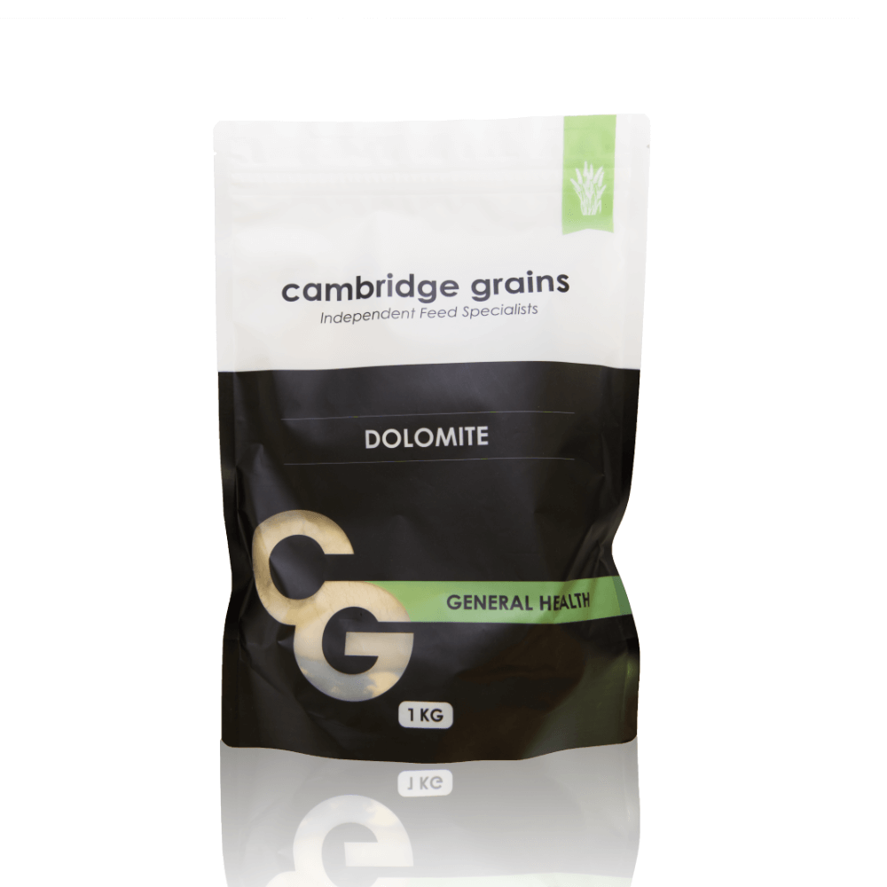 Cambridge Grains Dolomite