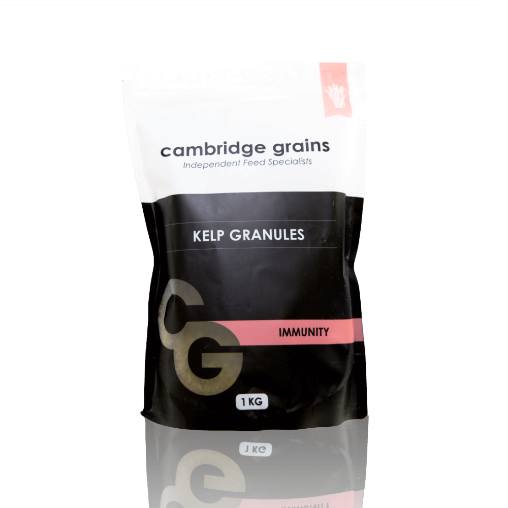 Cambridge Grains Kelp Granules