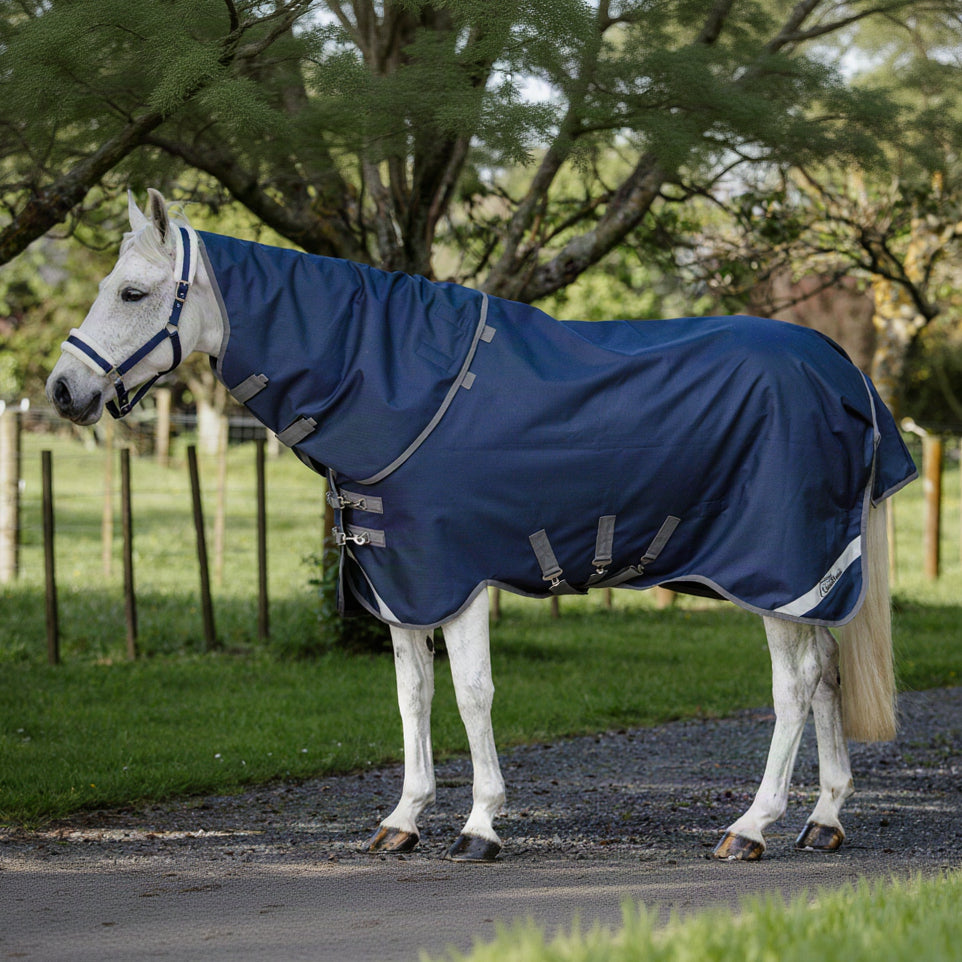 Cavallino Gen 4 Detach A Neck