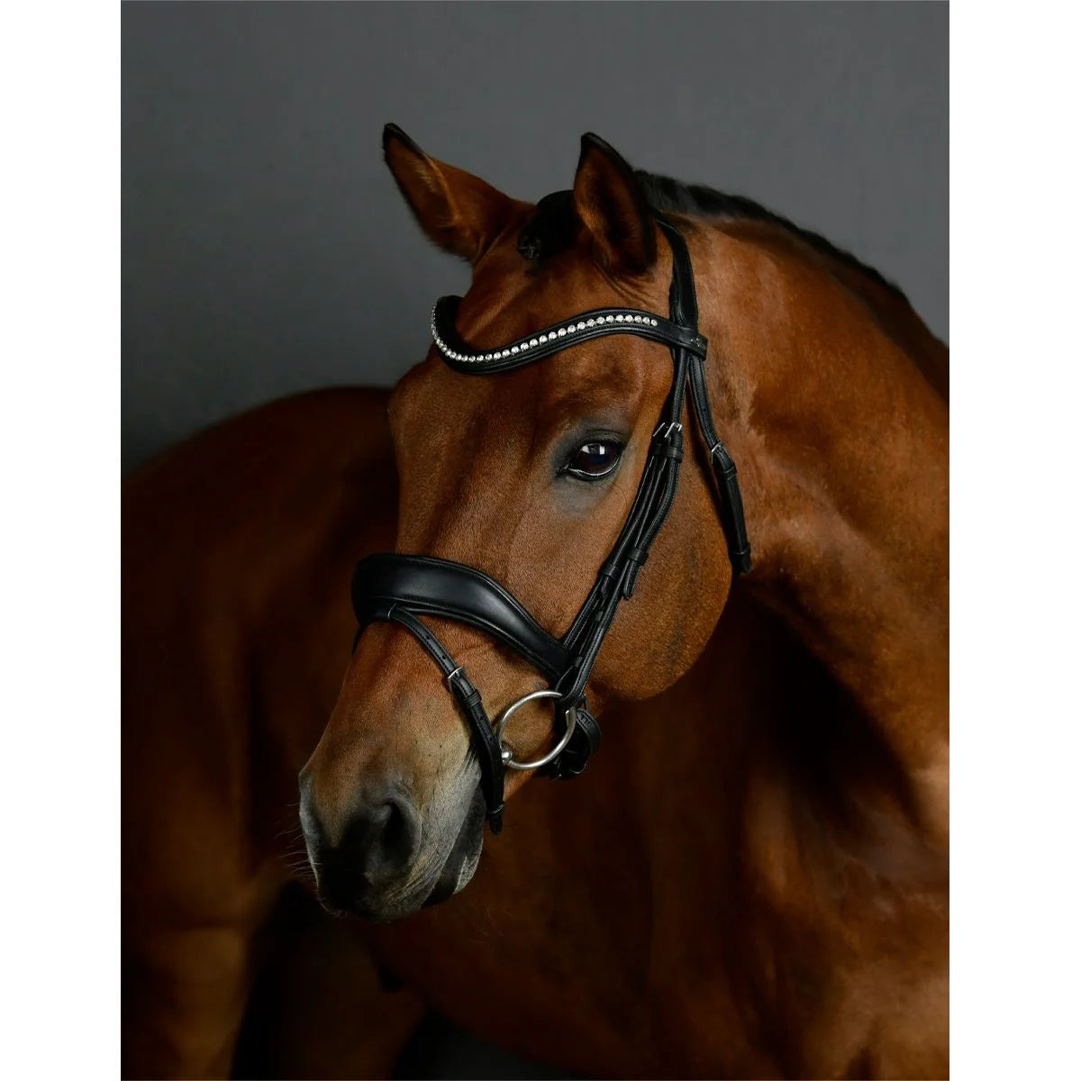 Collegiate Comfitec Opulux Padded Dressage Bridle - 2