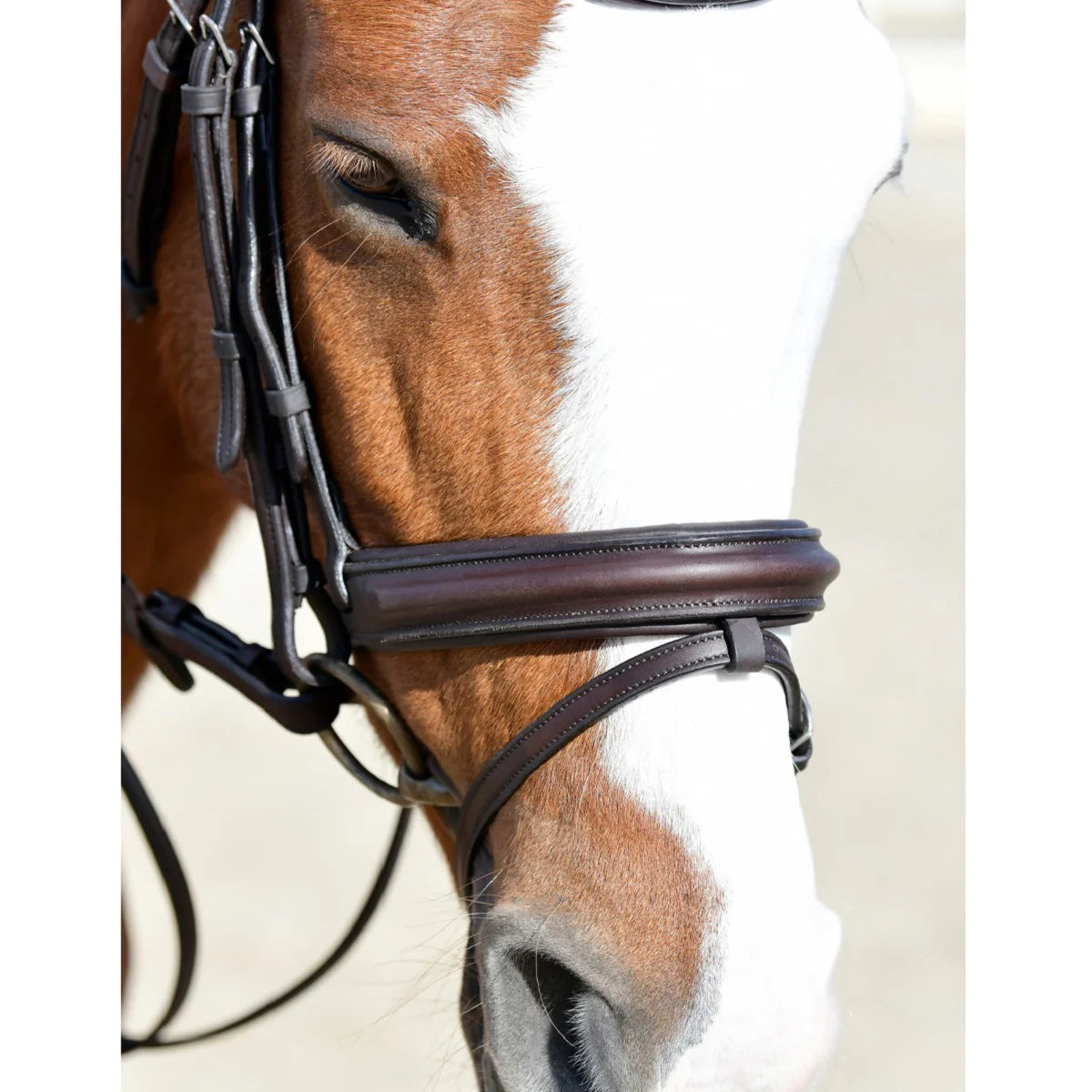 Collegiate Comfitec Opulux Padded Hanoverian Flash Bridle - Noseband