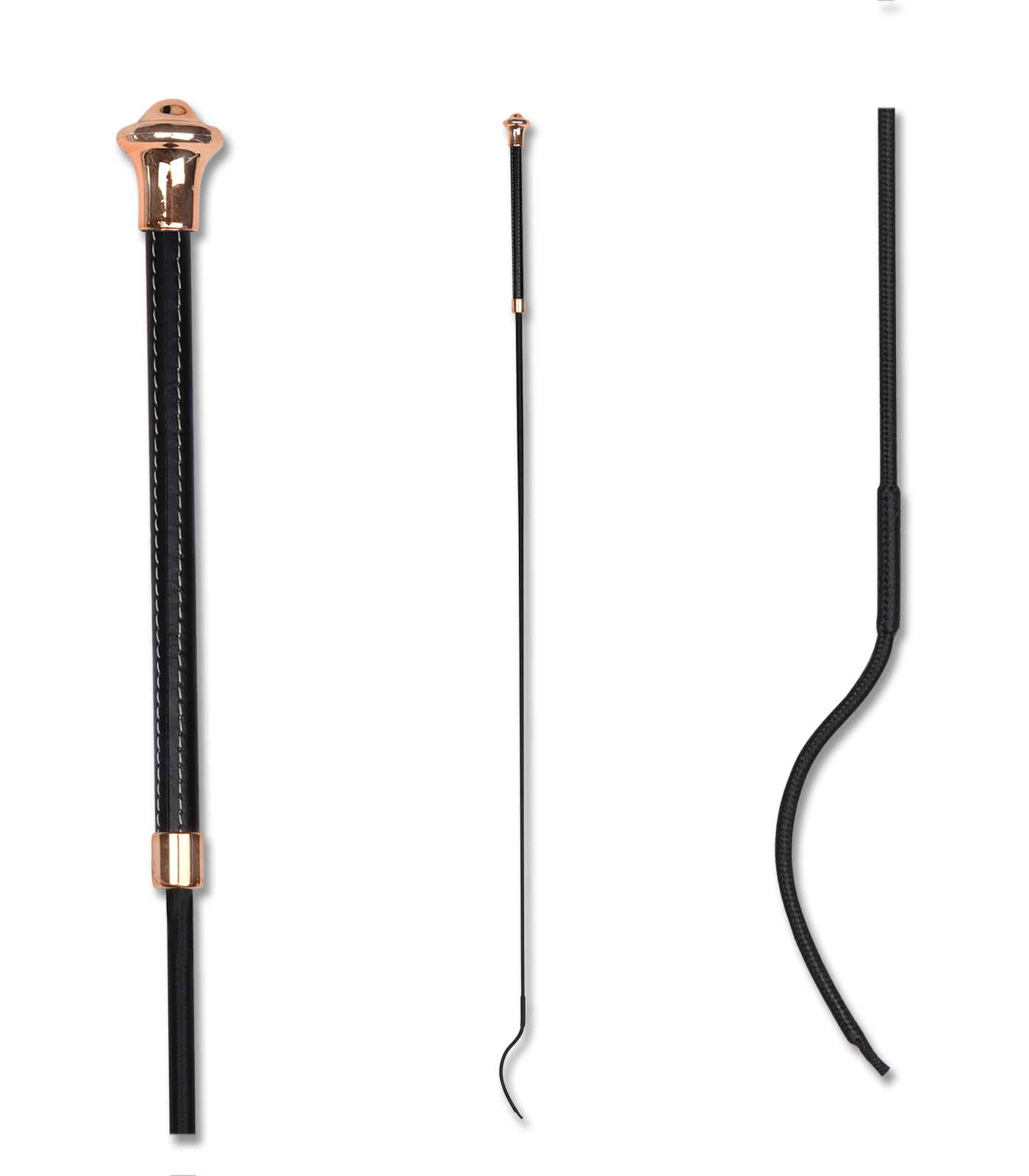 Waldhausen Whip Dressage Noblesse