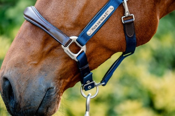 Horseware Ireland Signature Competition Headcollar