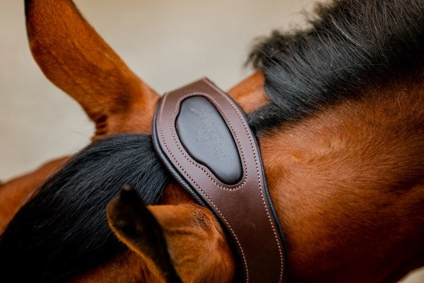 Horseware Ireland Signature Competition Headcollar