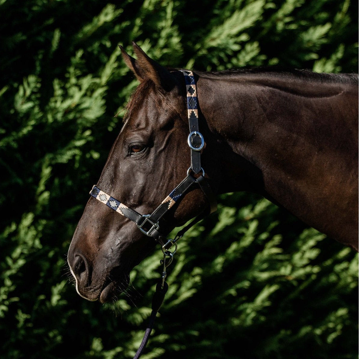 Double Hill Leather Polo Halter - Navy