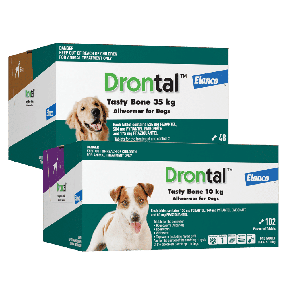 Drontal Tasty Bone Allwormer for dogs