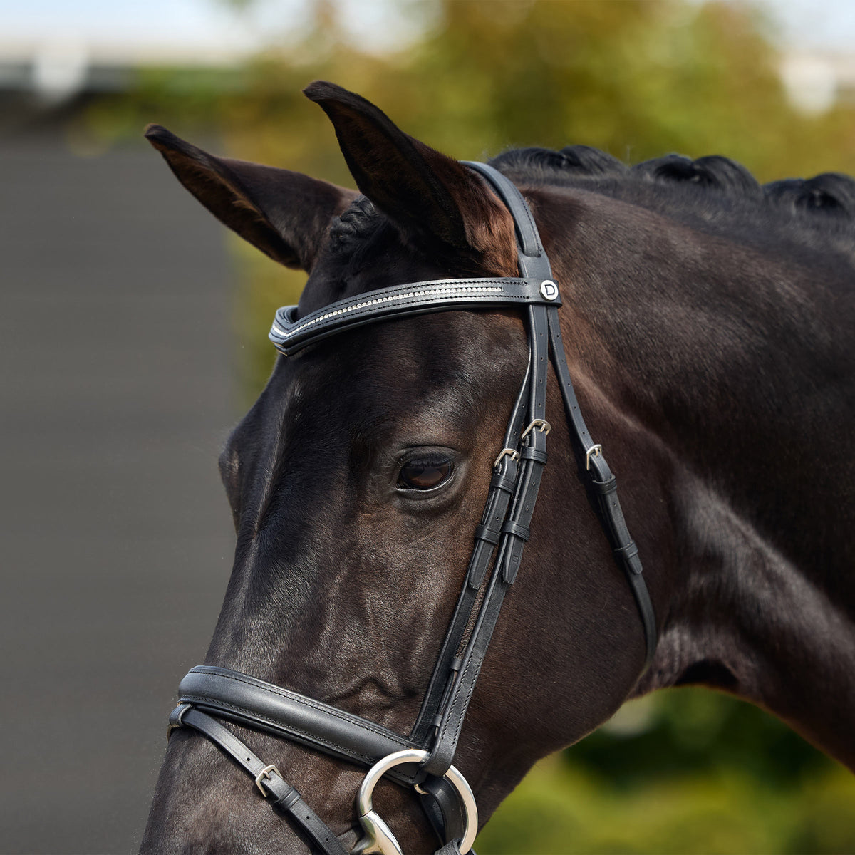 Dublin Crystal Flash Bridle - Detail