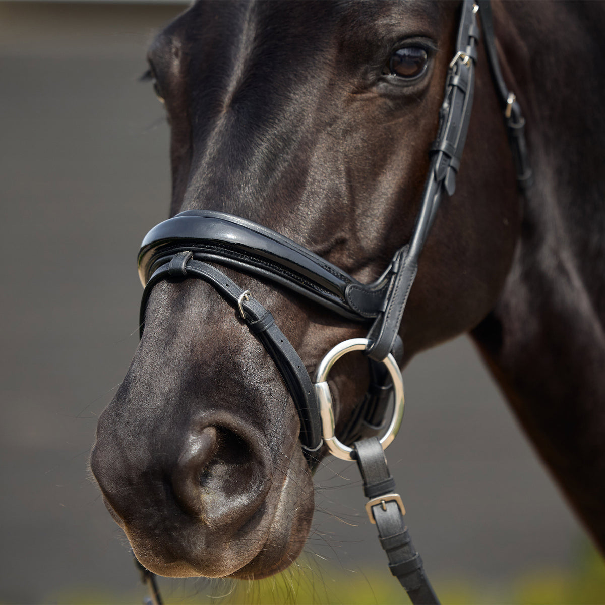 Dublin Padded Mono Crown Patent Flash Bridle - 2