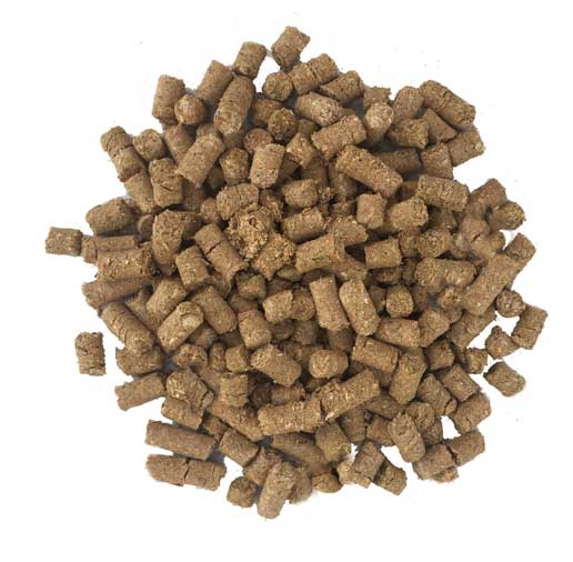 Dunstan Fiber Grow