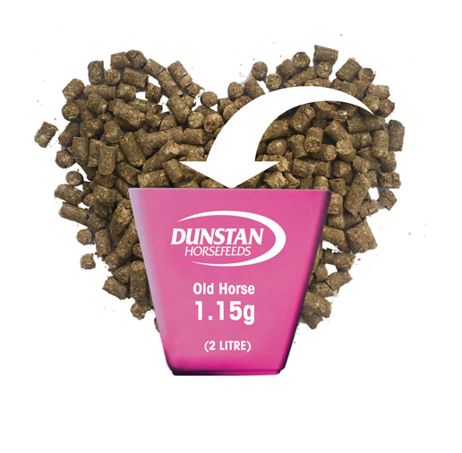 Dunstan Old Horse