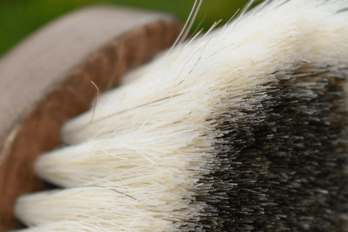 Eco Horse Dust Buster Brush - 2