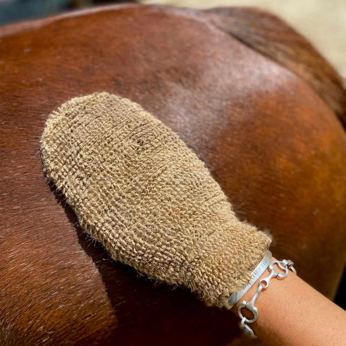 Eco Horse Mighty Mitt - Polish