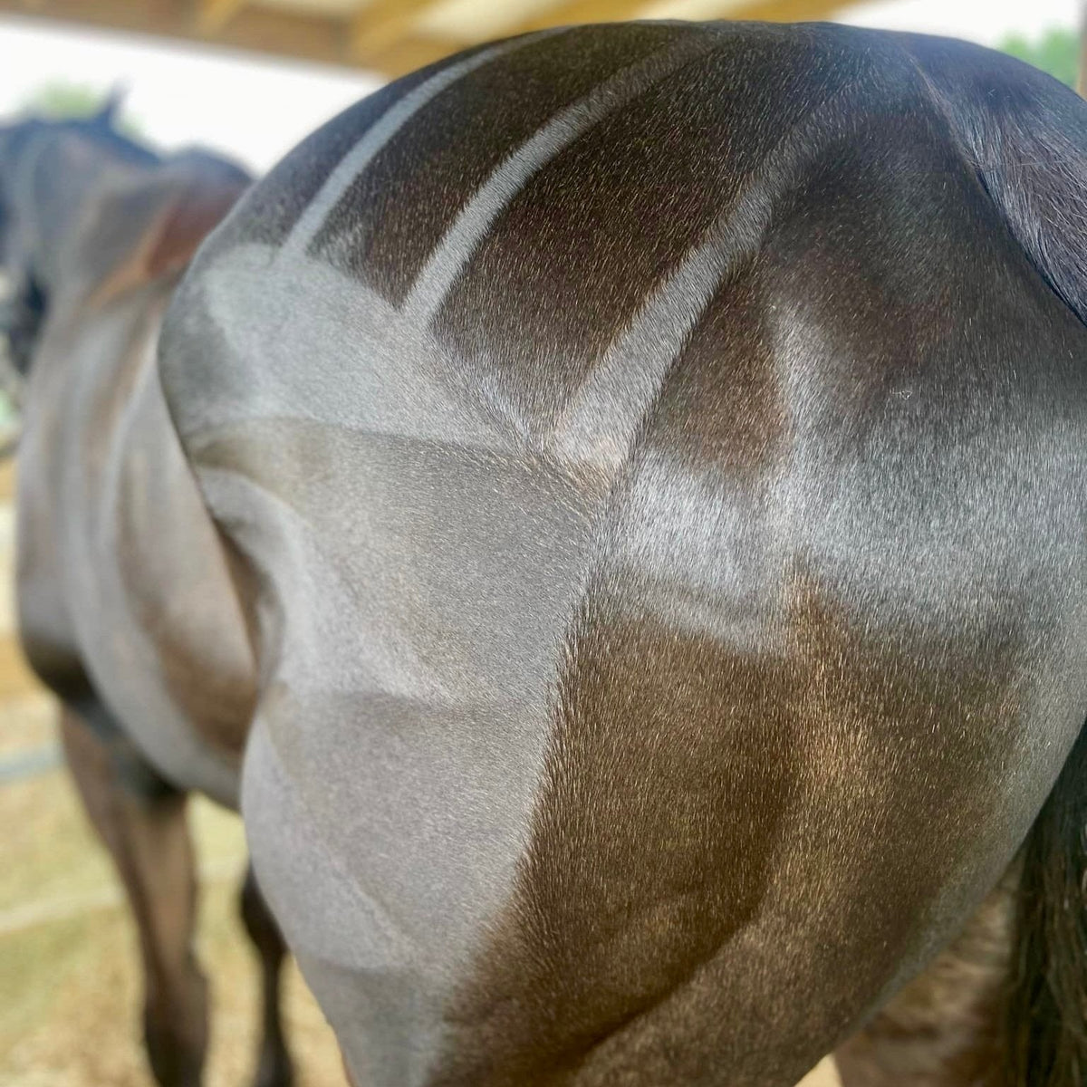 Eco Horse Quarter Mark Pro Spray - 2