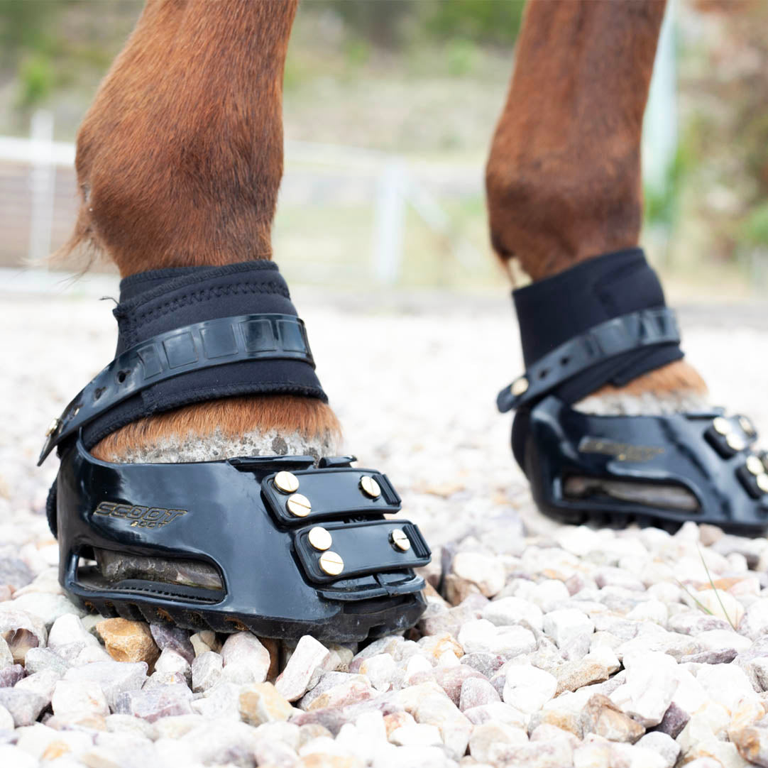 Scootboot Endurance Gaiters