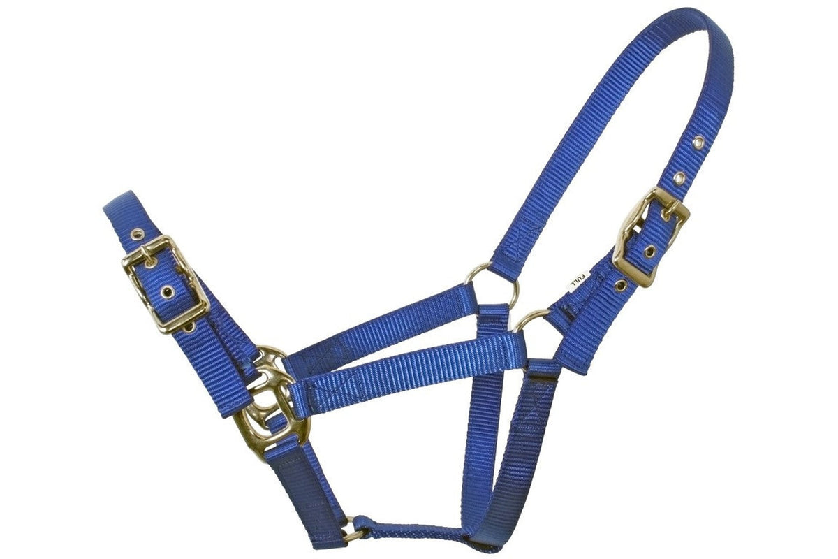 Flair Heavy Duty Nylon Web Halter - Royal Blue