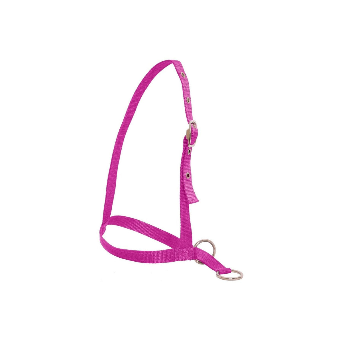 Flair Leading Calf Halter - Neon Pink