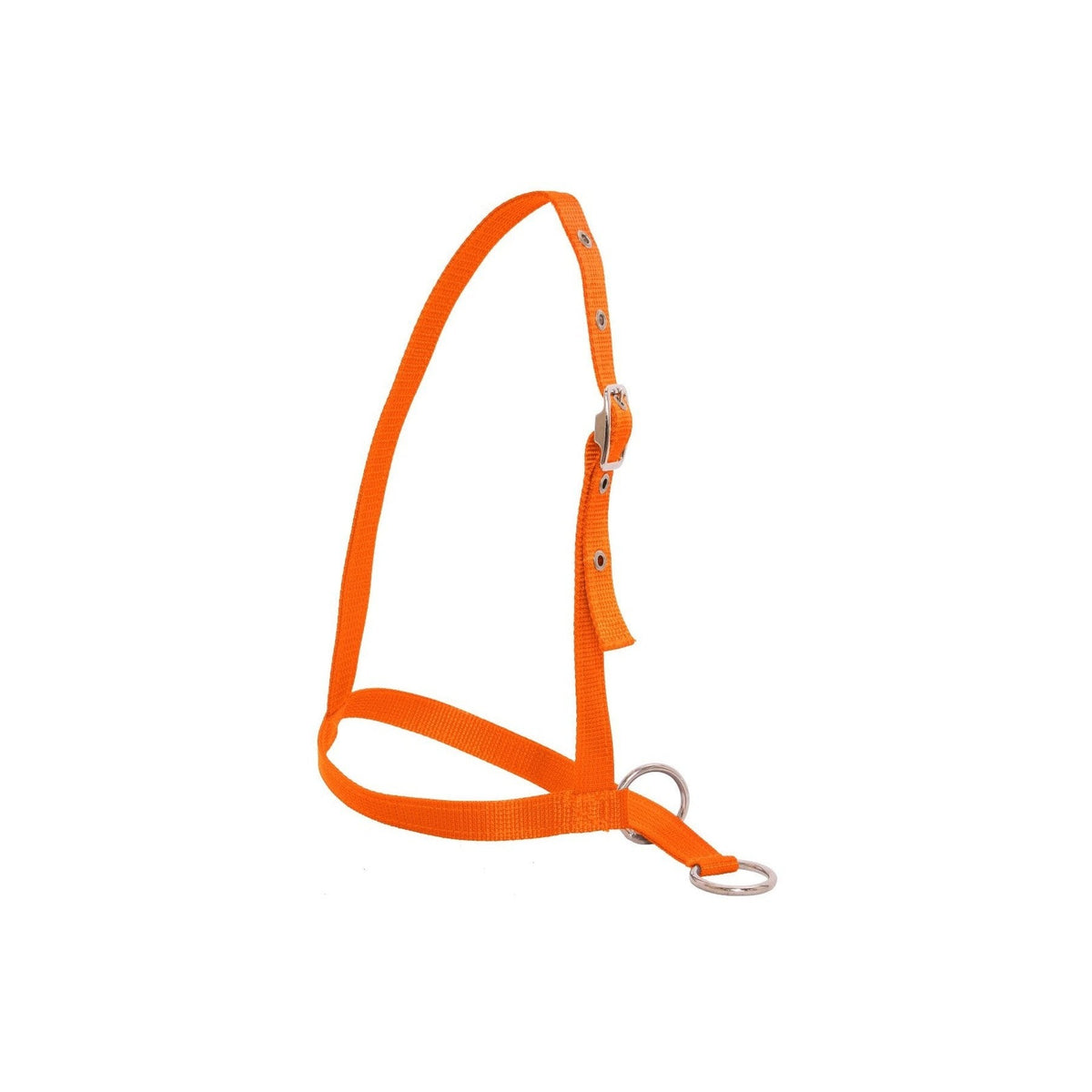 Flair Leading Calf Halter - Orange