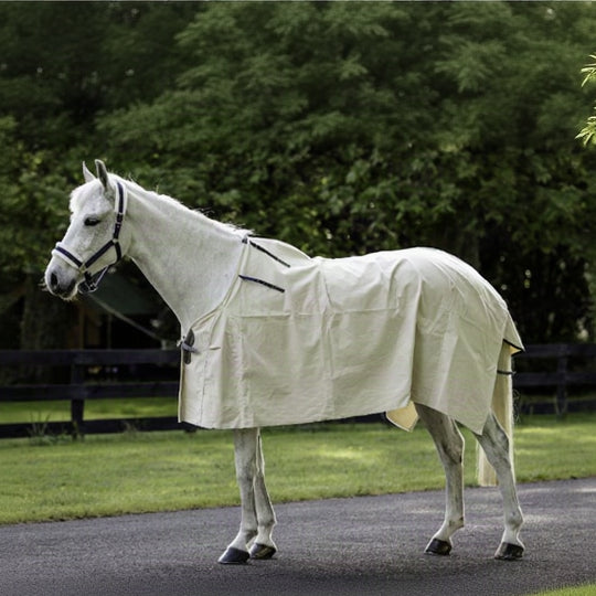 Flair Summer Cotton Rug