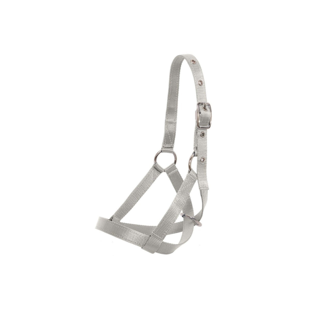 Flair Tethering Calf Halter - 2