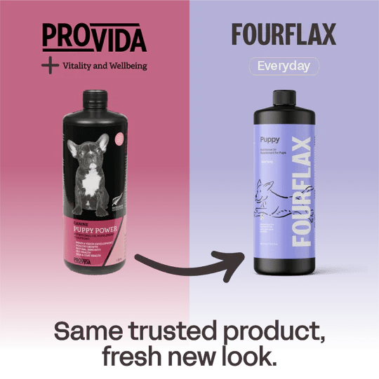 Fourflax Canine Puppy - Transition