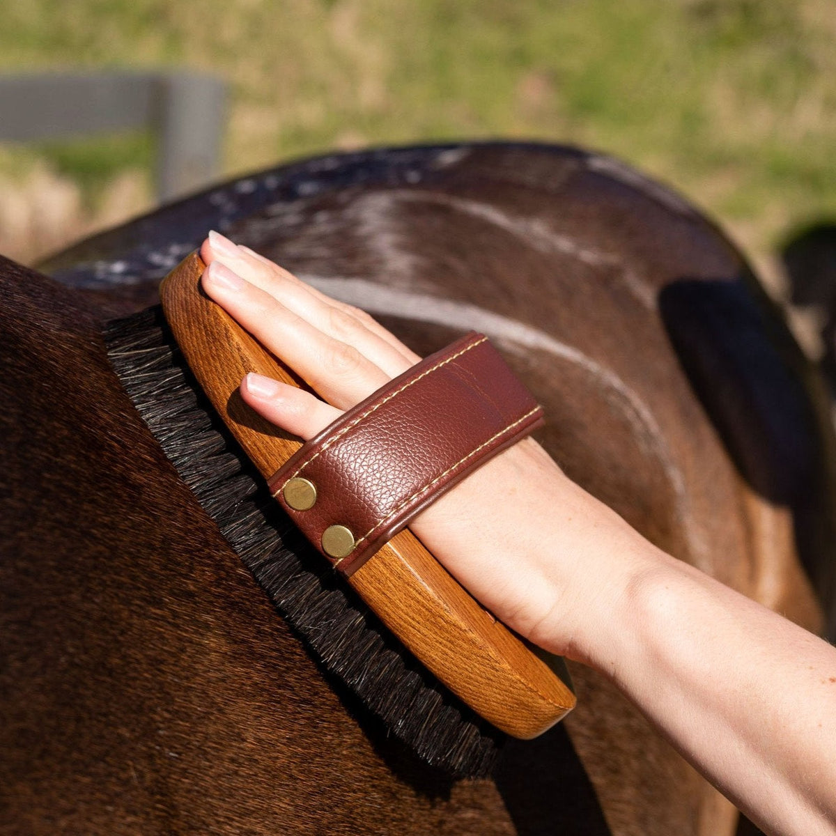Hairy Pony Body Brush - 5