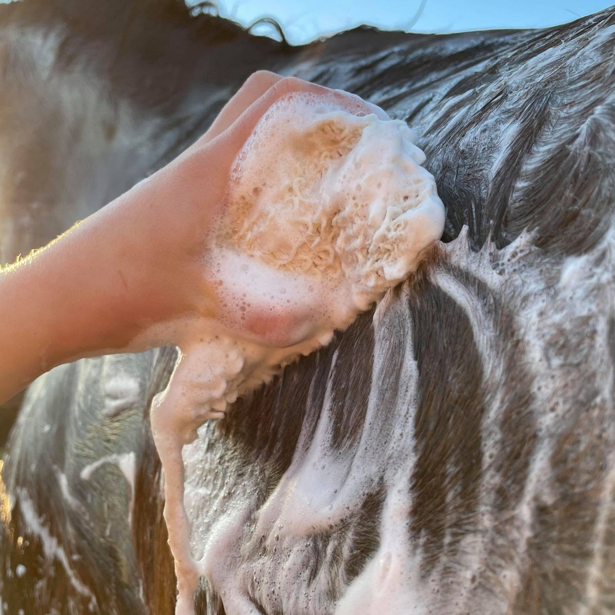 Hairy Pony Eco-Friendly Original Shampoo Bar - 10
