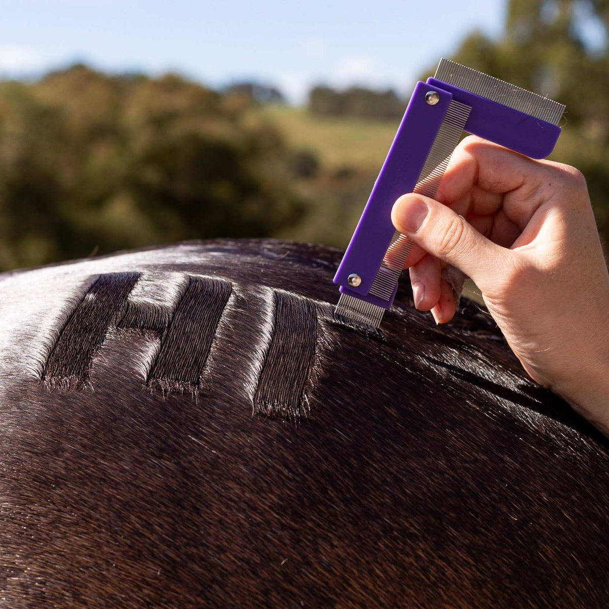 Hairy Pony Quarter Mark Horse Comb - 6