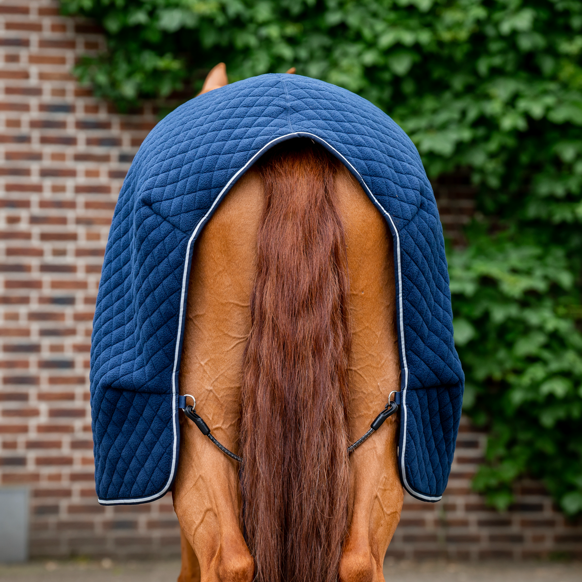 Horseware Autumn Cooler - 5
