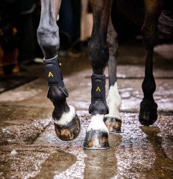 Horseware Ireland Adagio Boots - 4