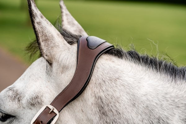 Horseware Ireland Signature Braided Headcollar - Hunter Green