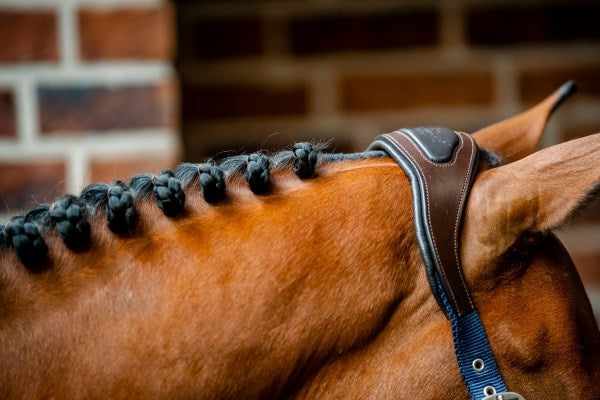 Horseware Ireland Signature Competition Headcollar - 4