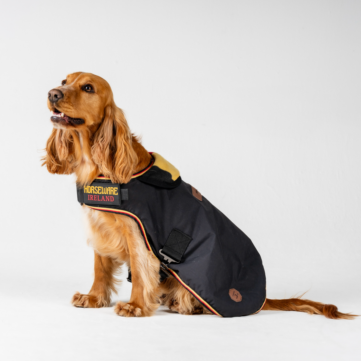 Horseware Newmarket Dog Coat