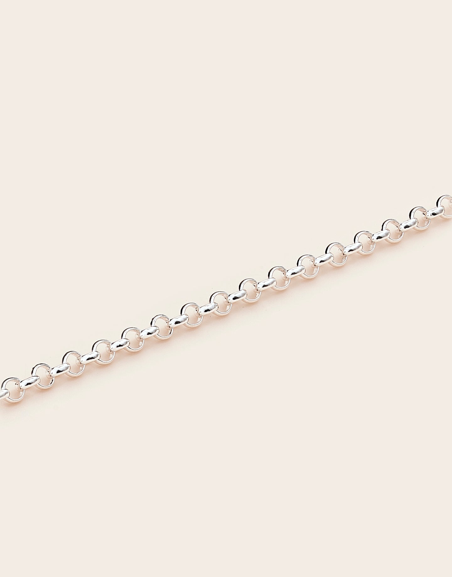 Whistle & Pop Rolo Chain Necklace