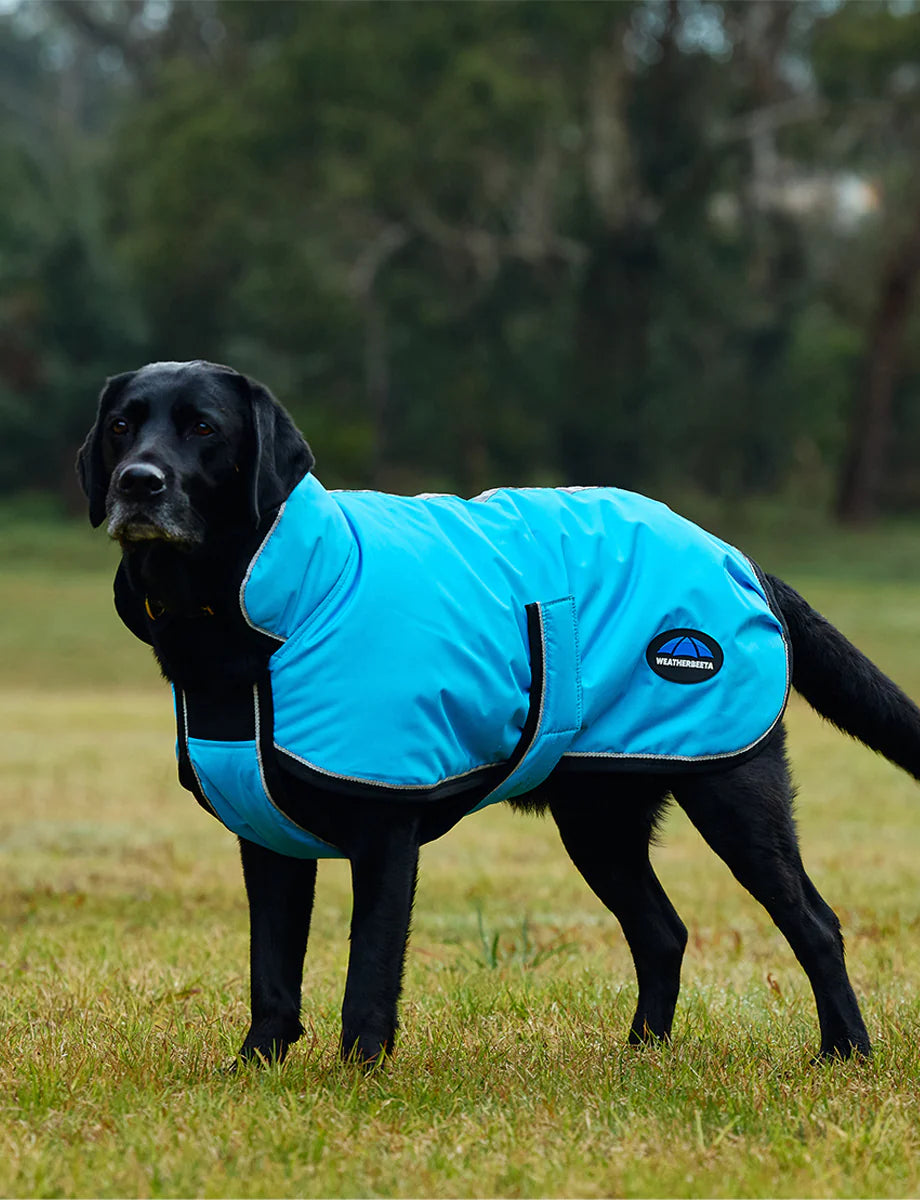 Weatherbeeta Comfitec Reflective 300D Deluxe Waterproof Dog Coat