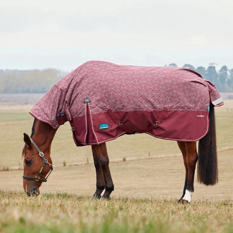 Weatherbeeta Comfitec Limited Edition Turnout Combo