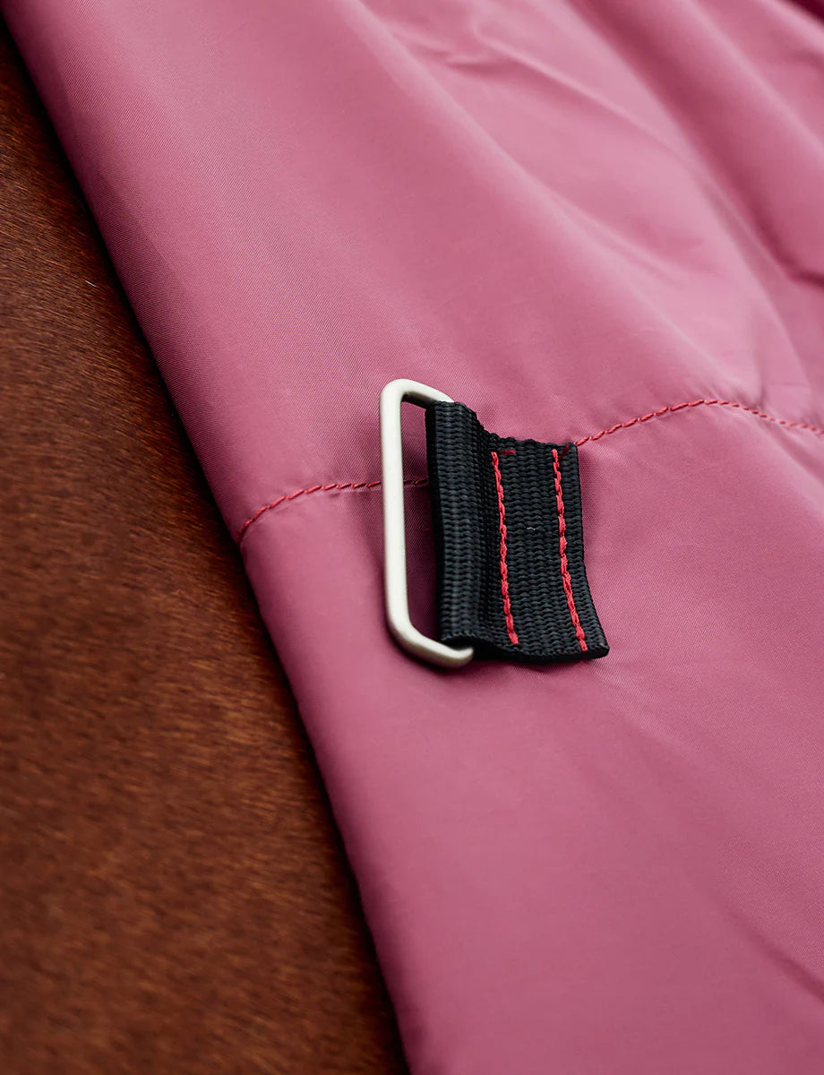 Weatherbeeta Comfitec Limited Edition Turnout Combo