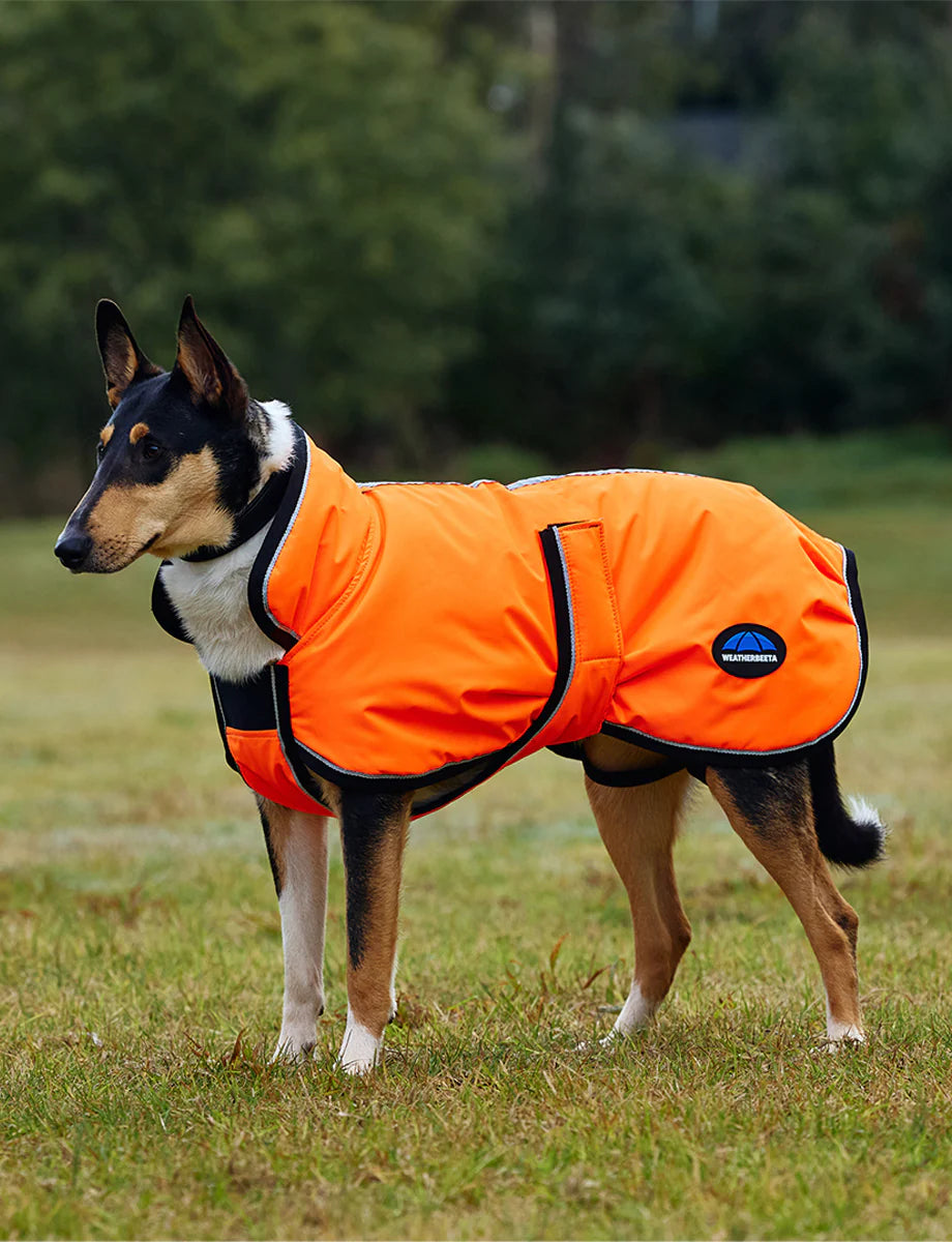 Weatherbeeta Comfitec Reflective 300D Deluxe Waterproof Dog Coat
