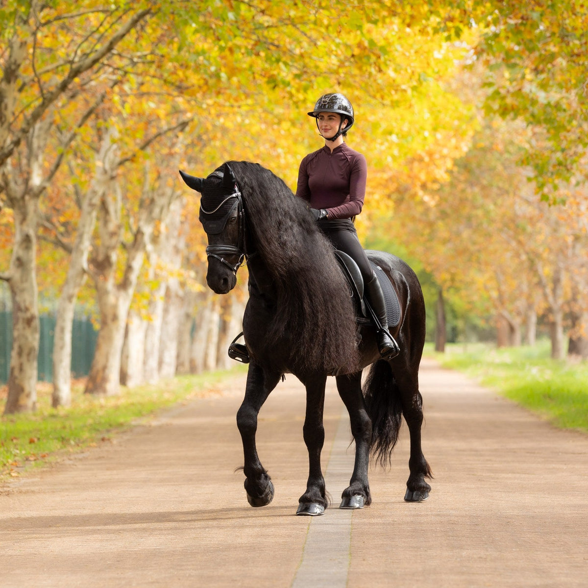 LeMieux Essence Dressage Square Black lifestyle