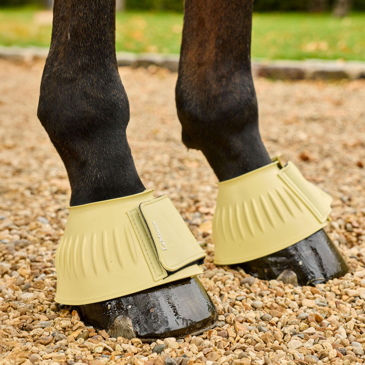 LeMieux Rubber Bell Boots Lemonade lifestyle