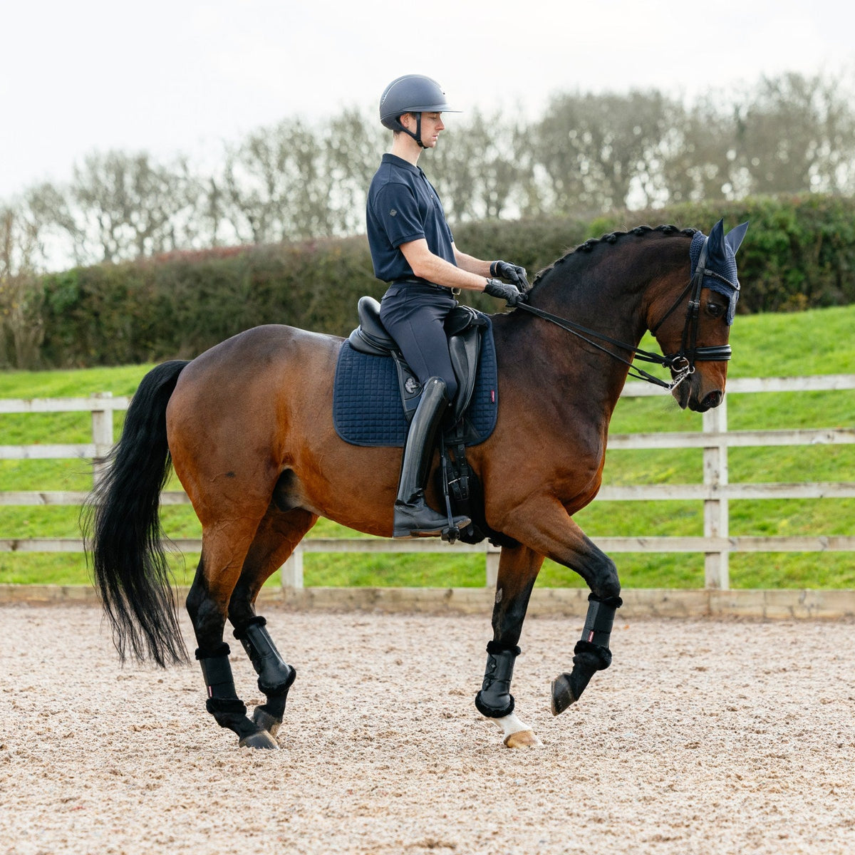 LeMieux Suede Dressage Square Navy lifestyle