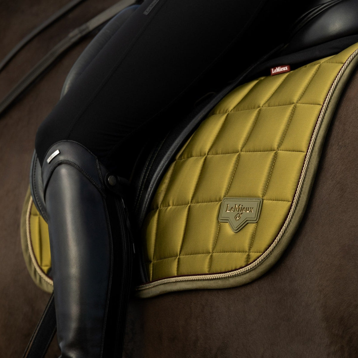 LeMieux Loire Classic Dressage Square Gooseberry lifestyle