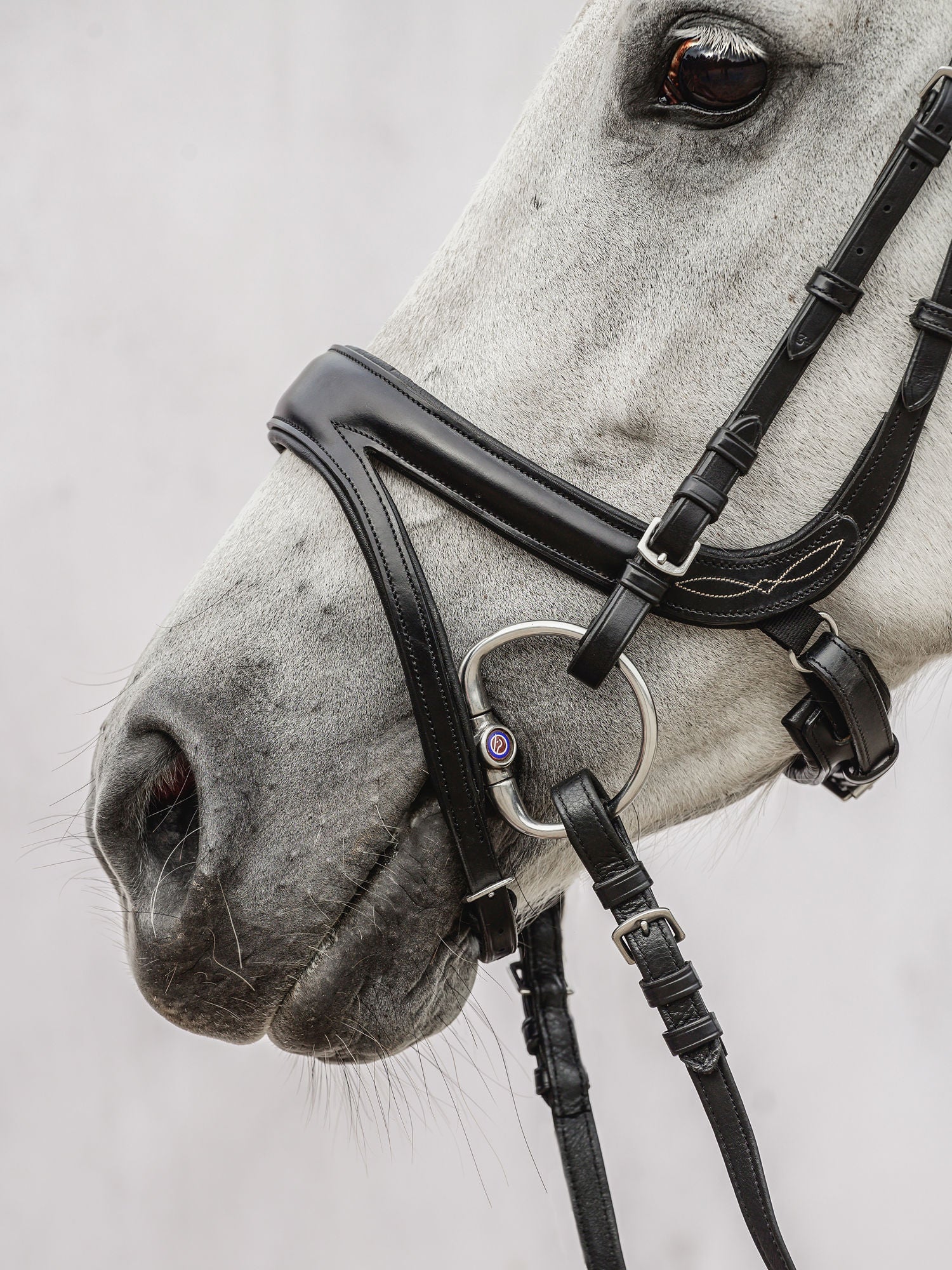 PS of Sweden Bridle Jump Off