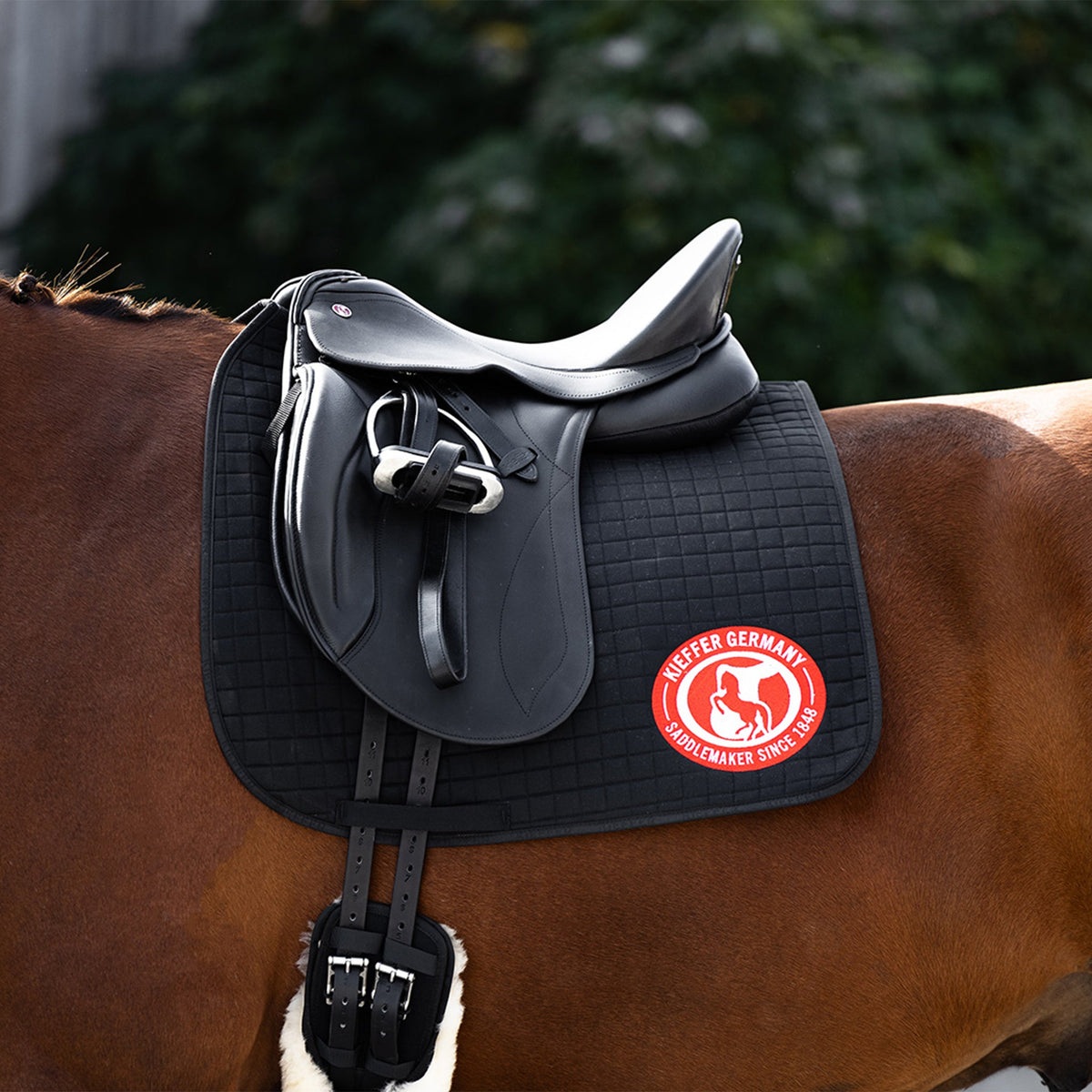 Kieffer Paris Classic Dressage Drop Panel Saddle - Lifestyle