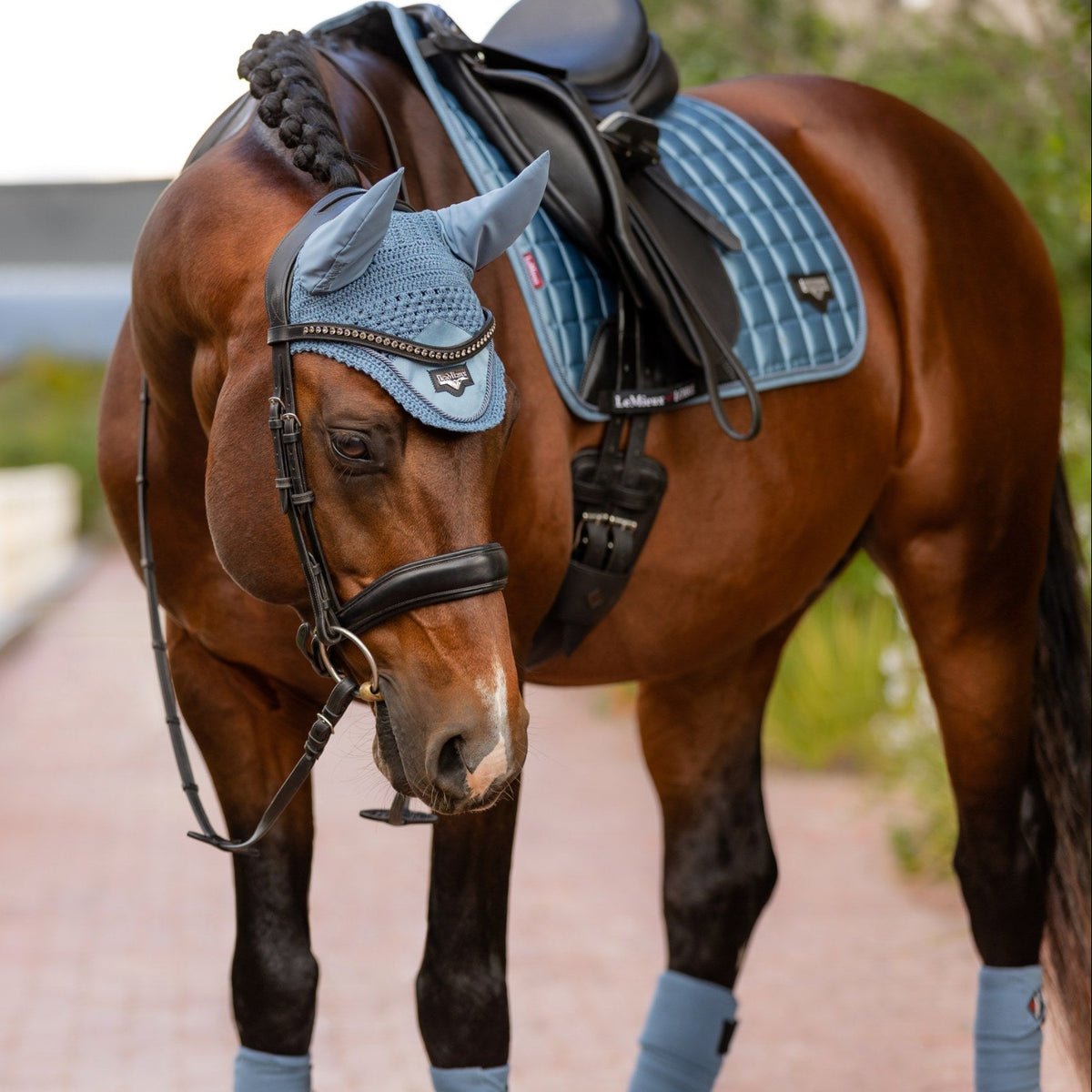 LeMieux Loire Fly Hood Ice Blue lifestyle