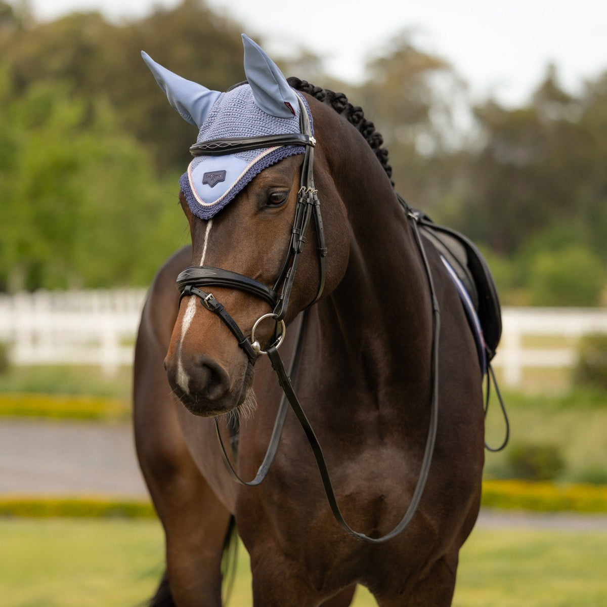 LeMieux Loire Fly Hood Powder Blue lifestyle